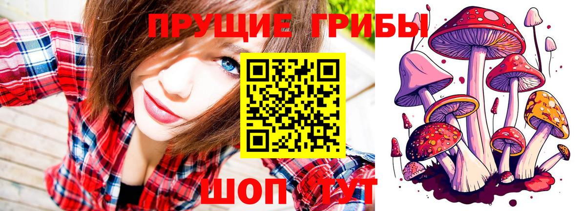 Воткинск  Псилоцибиновые грибы Psilocybine cubensis  Вход с VPN 